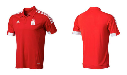 2015 AMERICA DE CALI HOME RETRO
